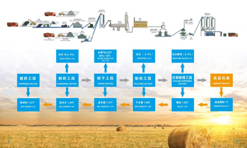 奇异果体育宣传册_13 - 副本.png